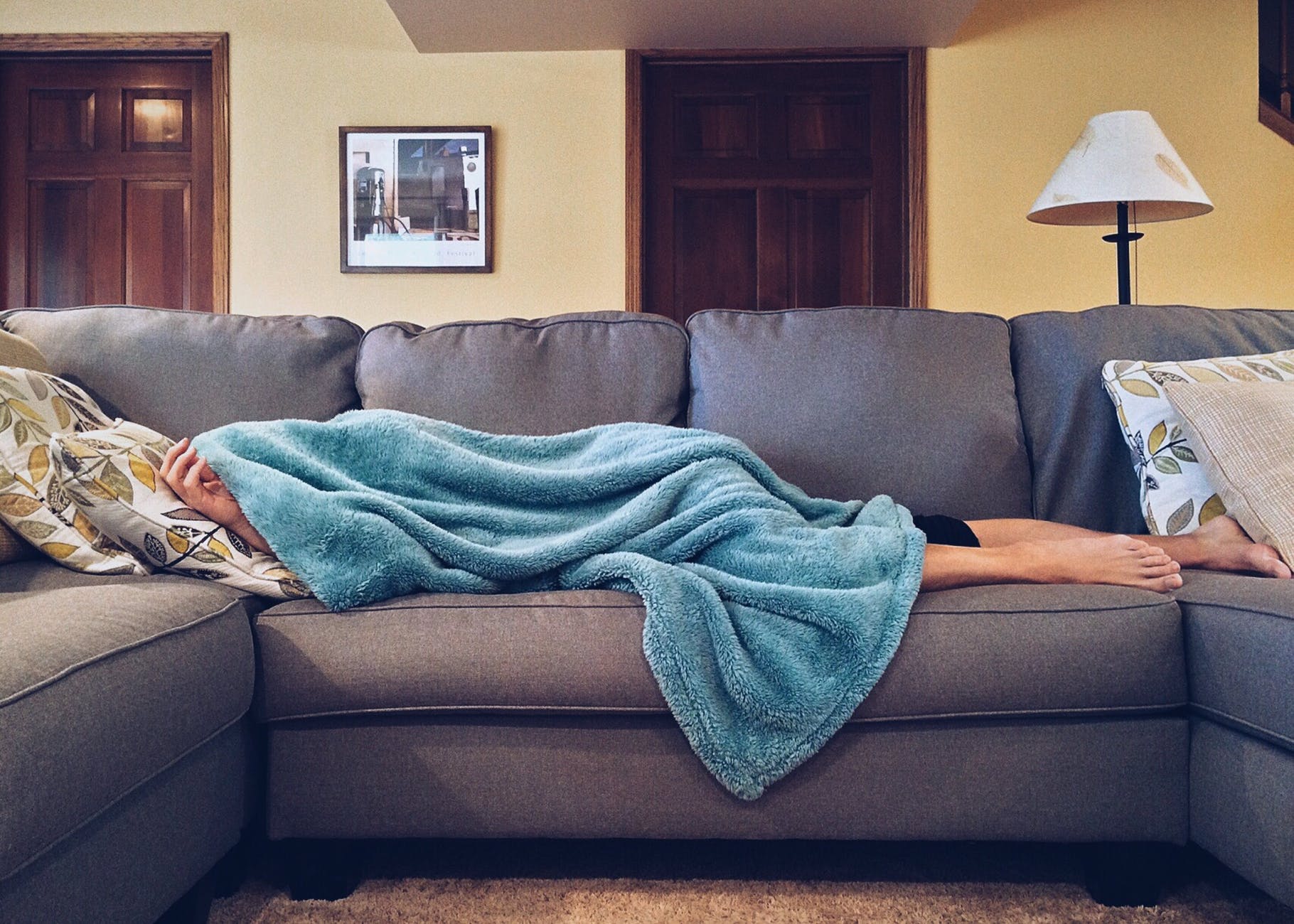 apartment bed carpet chair